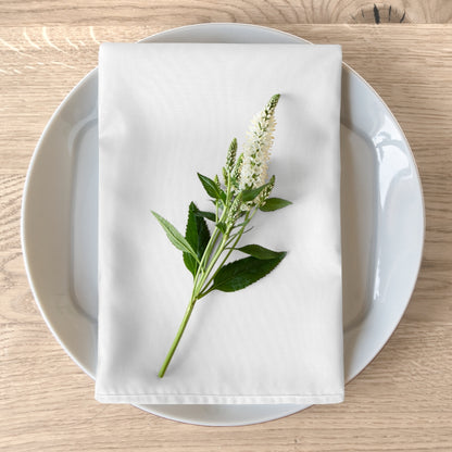 Cloth Napkins